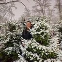 ���������� ������, ���� ������� ����, 43 ����, ������������ ��� ������, ����� � ���������