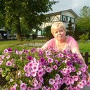 ���������� ������, ���� ������� �����, 54 ����, ������������ ��� ������, ����� � ���������, c�������� ���������