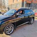 ���������� ������, ���� ������� �������, 46 ���, ������������ ��� ������, ����� � ���������