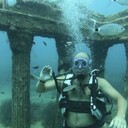 ���������� ������, ���� ������� ����, 44 ����, ������������ ��� c�������� ���������