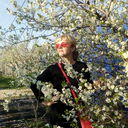 ���������� ������, ���� ������� �������, 47 ���, ������������ ��� ������, ����� � ���������, c�������� ���������