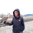 ���������� ������, ���� ������� ��������, 36 ���, ������������ ��� ������, ����� � ���������