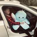 ���������� �����-���������, ���� ������� ��������, 22 ����, ������������ 