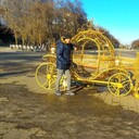  ,   , 36 ,   ,   , c , 