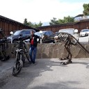 ���������� ���������, ���� ������� ������, 38 ���, ������������ ��� ����� � ���������, c�������� ���������