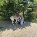 ���������� �����, ���� ������� ����, 37 ���, ������������ ��� ����� � ���������, c�������� ���������