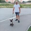  -,   , 39 ,   ,   , c 