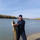 ���������� ������, ���� ������� ���������, 50 ���, ������������ ��� ������