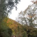 ���������� �������, ���� ������� Temo, 37 ���, ������������ ��� ������