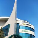 ���������� ����, ���� ������� ������, 39 ���, ������������ ��� ������, ����� � ���������