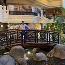 ���������� ������������, ���� ������� ������, 39 ���, ������������ ��� ������, ����� � ���������, c�������� ���������