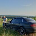 ���������� �����, ���� ������� ����, 38 ���, ������������ ��� ������, ����� � ���������, c�������� ���������, ���������