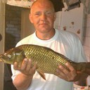 ���������� ������, ���� ������� �������, 47 ���, ������������ 