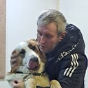 ���������� ����, ���� ������� ����������, 46 ���, ������������ ��� ����� � ���������, c�������� ���������