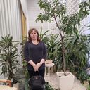 ���������� ������, ���� ������� �����, 49 ���, ������������ ��� c�������� ���������