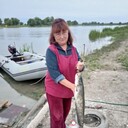  ,   , 66 ,  
