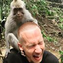 ���������� �����-���������, ���� ������� �����, 33 ����, ������������ ��� ������, ����� � ���������, c�������� ���������, ���������