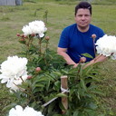 ���������� �����-���������, ���� ������� ����, 59 ���, ������������ ��� ������, ����� � ���������, c�������� ���������