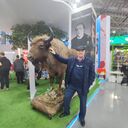 ���������� ������, ���� ������� ���������, 67 ���, ������������ ��� c�������� ���������