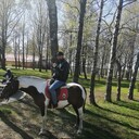 ���������� ������, ���� ������� ����, 43 ����, ������������ ��� ������