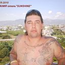 ���������� �����, ���� ������� Tigr, 50 ���, ������������ ��� ������, ����� � ���������, c�������� ���������