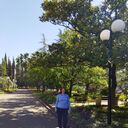 ���������� ������, ���� ������� �������, 52 ����, ������������ ��� ����� � ���������, c�������� ���������