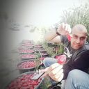 ���������� ������, ���� ������� �����, 37 ���, ������������ ��� ������, ����� � ���������, ���������