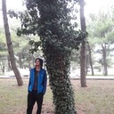  ,   , 36 ,   ,   , c 