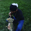 ���������� ����, ���� ����� Hassan, 24 ����, ������������ ��� ������, ����� � ���������