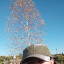 ���������� �������, ���� ������� �������, 34 ����, ������������ ��� ������, ����� � ���������, c�������� ���������