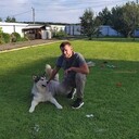 ���������� �������, ���� ������� �������, 36 ���, ������������ ��� ������, ����� � ���������