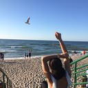 ���������� ����, ���� ������� �����, 29 ���, ������������ ��� ������, ����� � ���������, c�������� ���������