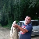  ,   , 50 ,  