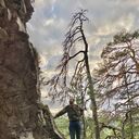 ���������� �����, ���� ������� ��������, 50 ���, ������������ ��� ������, ����� � ���������