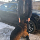 ���������� ������, ���� ������� �����, 40 ���, ������������ ��� ������, ����� � ���������, c�������� ���������, ���������