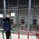  ,   , 100 ,   ,   , c , 