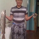  -,   , 36 ,     , c 