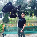 ���������� �������, ���� ������� Umidjaan, 32 ����, ������������ ��� ������, ����� � ���������, c�������� ���������