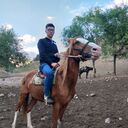 ���������� �������, ���� ������� ���, 27 ���, ������������ ��� ������, ����� � ���������