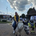 ���������� �����, ���� ������� �����, 23 ����, ������������ ��� ����� � ���������, ���������