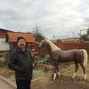 ���������� �����������, ���� ������� �������, 65 ���, ������������ 