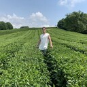 ���������� ������, ���� ������� �������, 31 ���, ������������ ��� ������, ����� � ���������