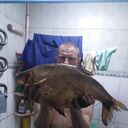 ���������� ��������, ���� ������� ���, 40 ���, ������������ ��� ������, ����� � ���������