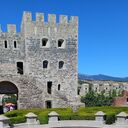 ���������� �������, ���� ������� Leo, 36 ���, ������������ ��� ������, ����� � ���������