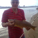 ���������� ���������, ���� ������� Petr malcher, 55 ���, ������������ ��� ������