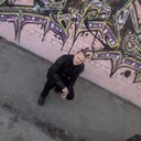 ���������� ���������, ���� ������� �������, 43 ����, ������������ ��� ����� � ���������