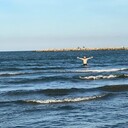 ���������� ������, ���� ����� ����, 25 ���, ������������ ��� ������, ����� � ���������, c�������� ���������, ���������