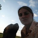  ,   , 56 ,   ,   , c 