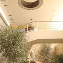 ���������� ������, ���� ������� ��������, 60 ���, ������������ ��� c�������� ���������