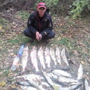 ���������� ���, ���� ������� ������, 49 ���, ������������ 